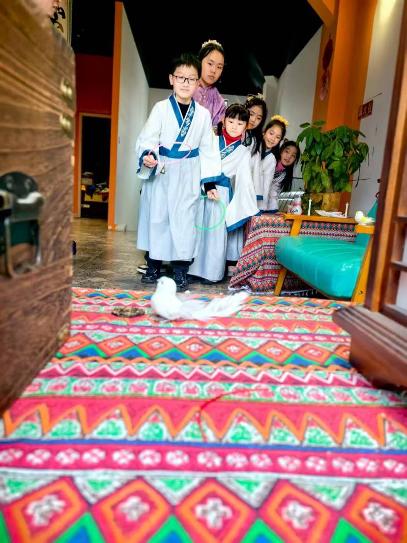 楚雄市文旅项目策划